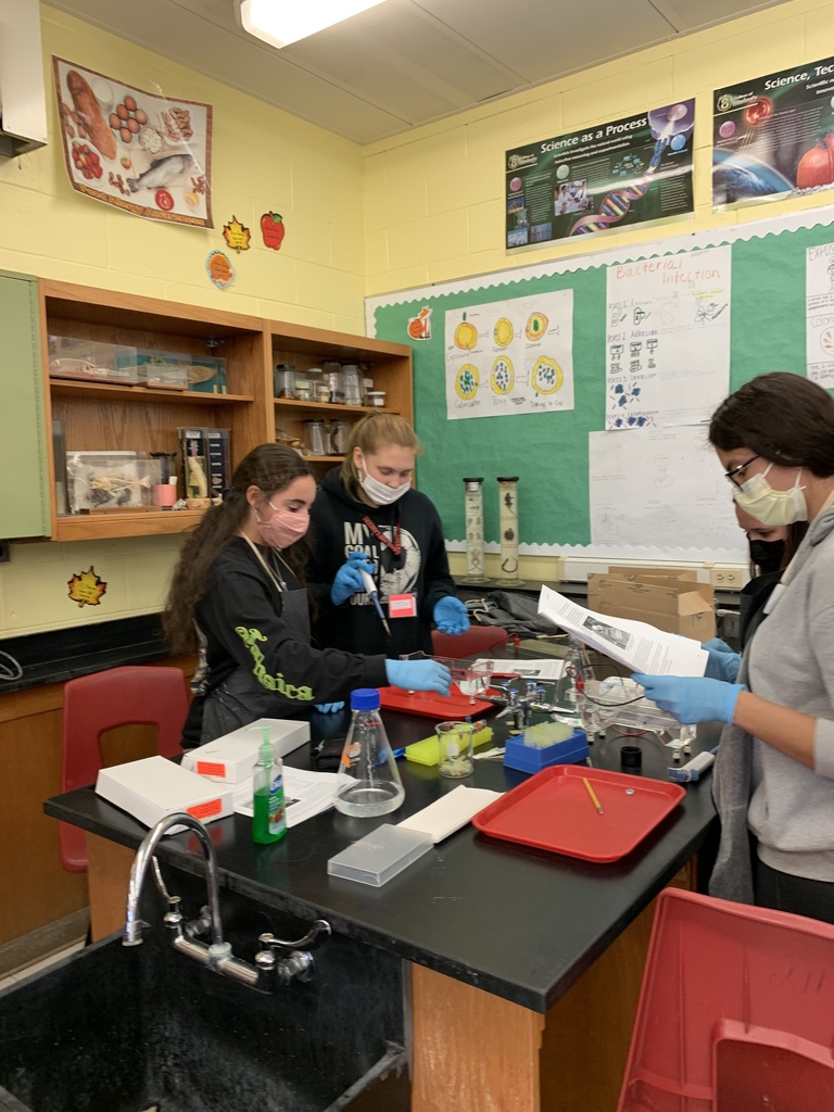 Electrophoresis